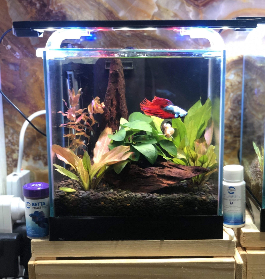 Pisces Aquatics LED Aquarium Light 35cm - Tank Terrarium Australia Aquarium Lights