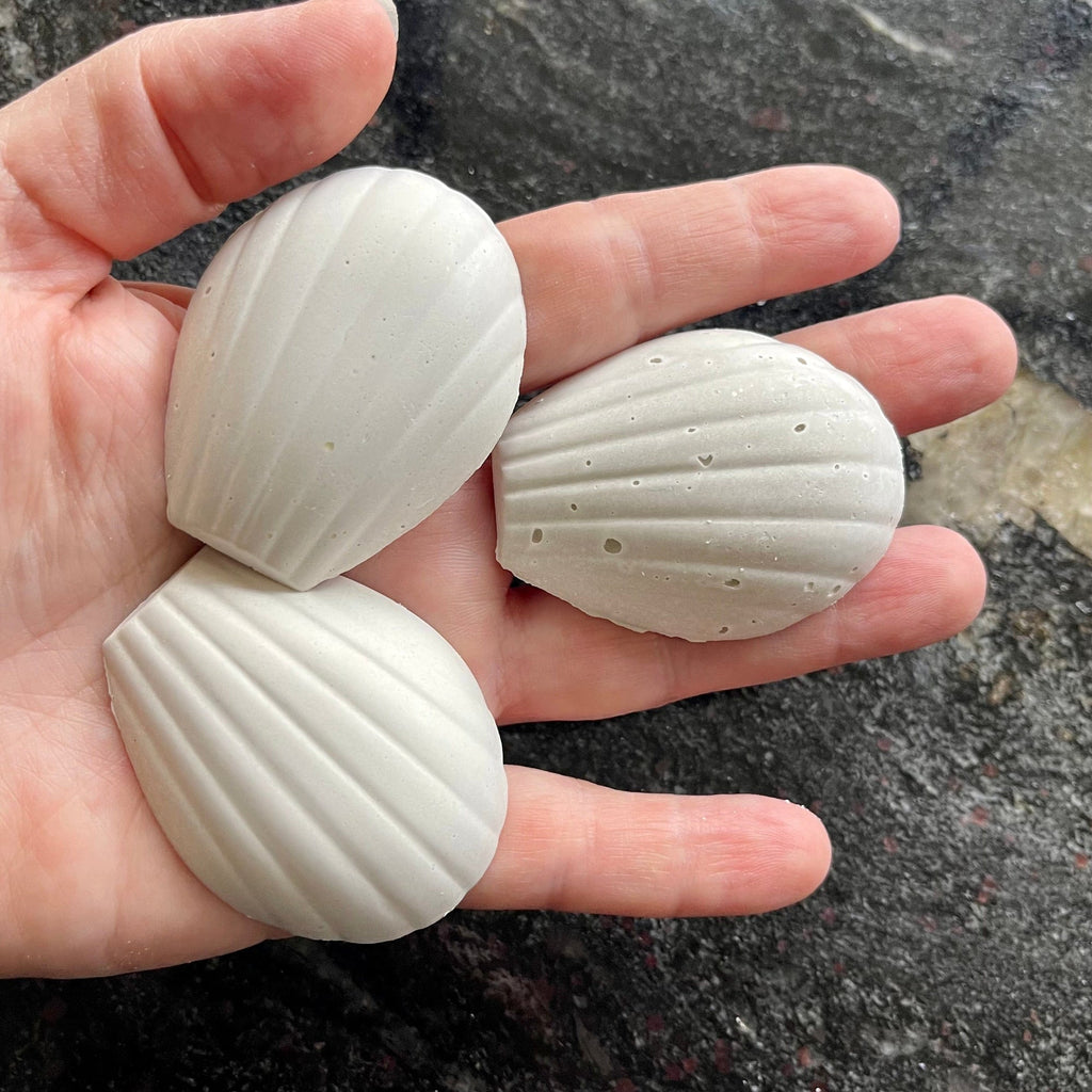 Snail & Shrimp Calcium Shells for Strong Shells - Scapeshop - Tank Terrarium Australia Snail Blocks