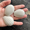 Snail & Shrimp Calcium Shells for Strong Shells - Scapeshop - Tank Terrarium Australia Snail Blocks