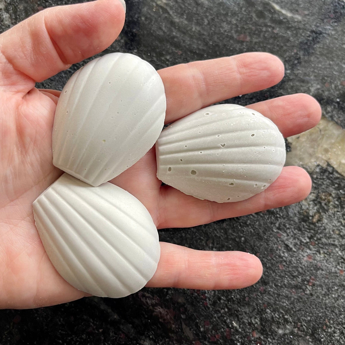 Snail & Shrimp Calcium Shells for Strong Shells - Scapeshop - Tank Terrarium Australia Snail Blocks