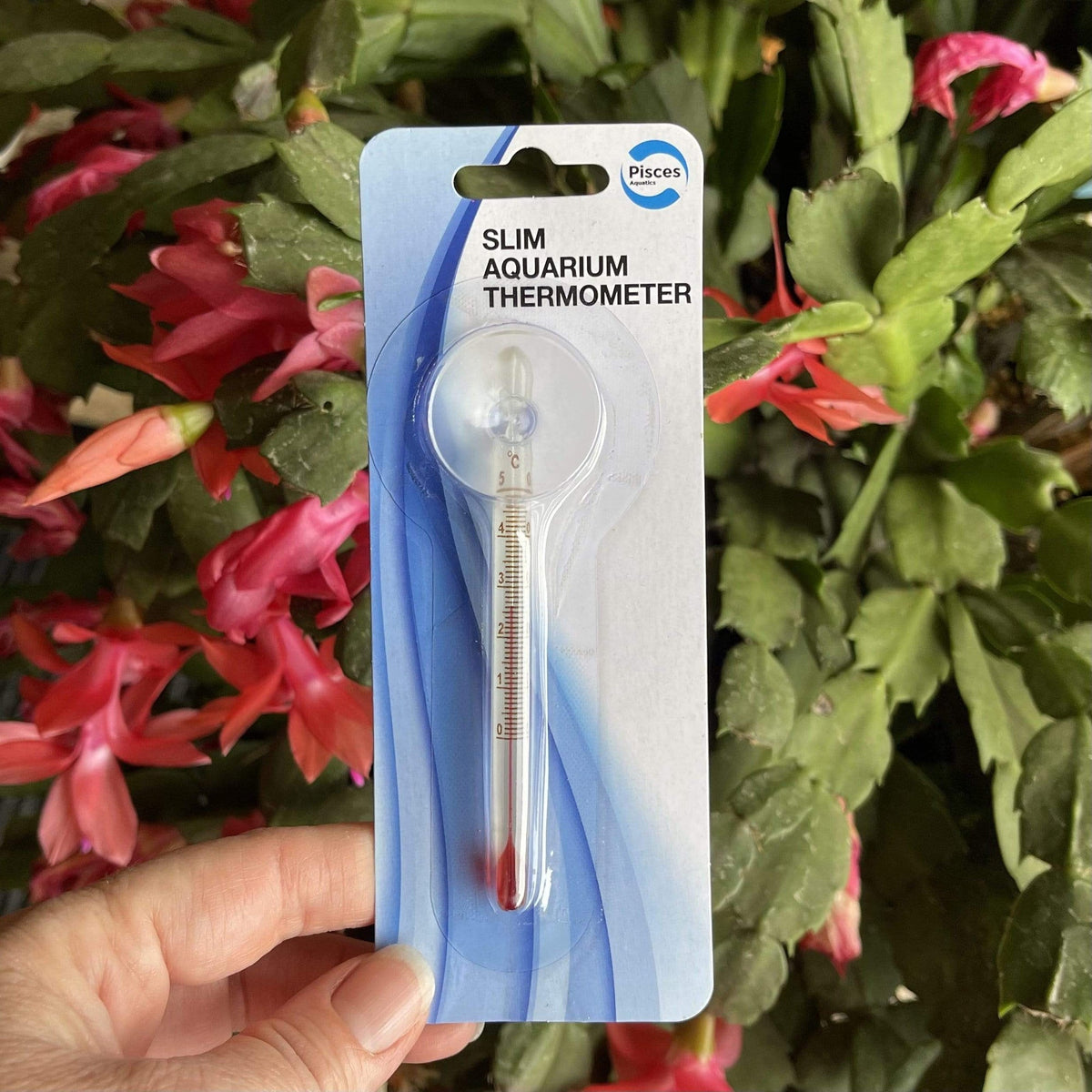 Pisces Slim Glass Thermometer - Tank Terrarium Australia Aquascape Tools