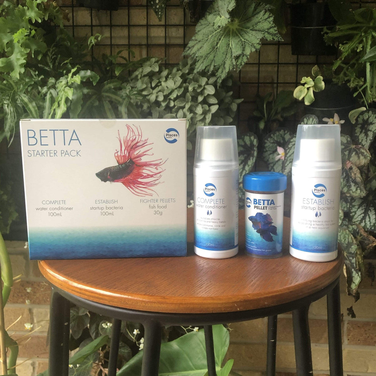 Pisces Betta Starter Pack - Tank Terrarium Australia Starter Pack