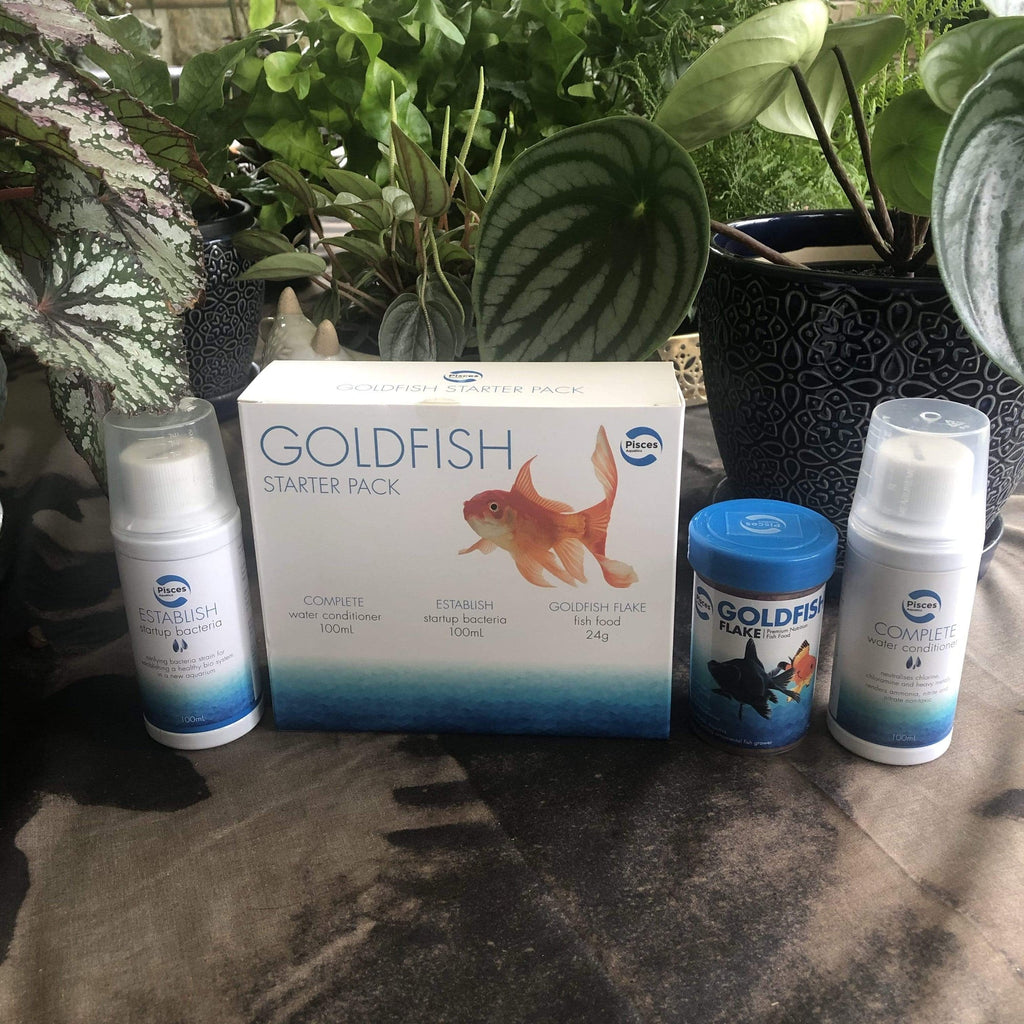 Pisces Goldfish Starter Pack - Tank Terrarium Australia Starter Pack
