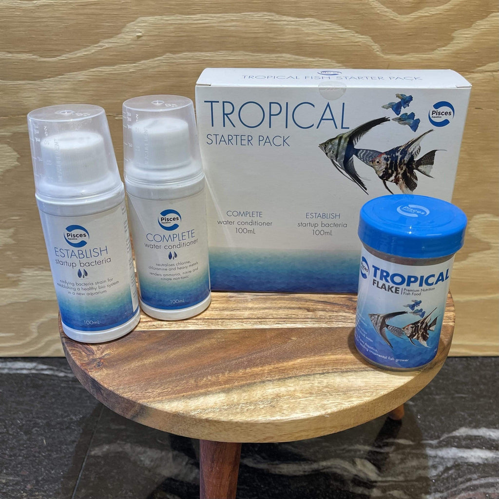 Pisces Tropical Starter Pack - Tank Terrarium Australia Starter Pack
