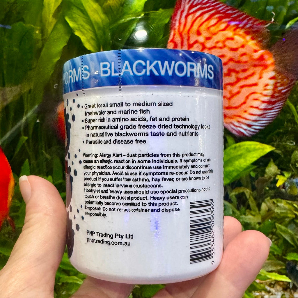 Freeze-Dried Blackworms 20g - Aqua Natural - Tank Terrarium Australia Food
