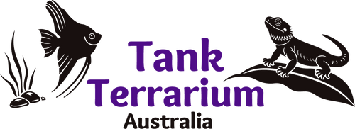 Tank Terrarium Australia